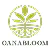 Canabloom (Daimler Apotheke, Wiesbaden) - Cannabis-Apotheke