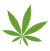 Cannabis Apo (Geibel) - Cannabis-Apotheke