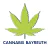 Cannabis Bayreuth (Helios Cannabis Bayreuth) - Cannabis-Apotheke