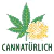 CANNATÜRLICH (Arnika Apotheke, Bad Kötzting) - Cannabis-Apotheke