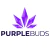 Purple Buds - Cannabis-Apotheke